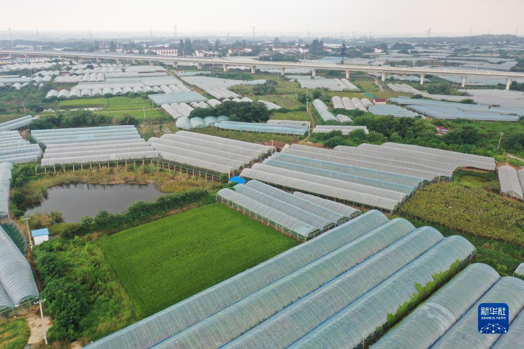 娱乐平台登录首页